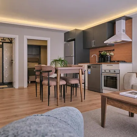Luxury Aparments Of Kadikoey, Pavlonya Suits *