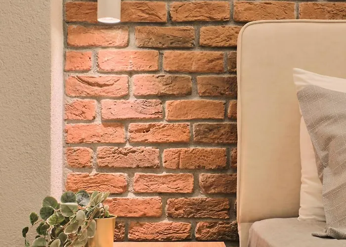 Pavlonya * 伊斯坦布尔